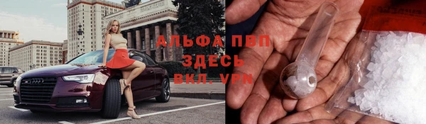 твердый Краснослободск