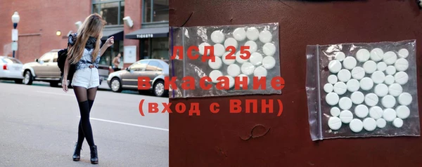 твердый Краснослободск