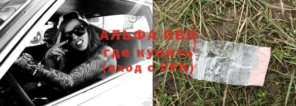 твердый Краснослободск