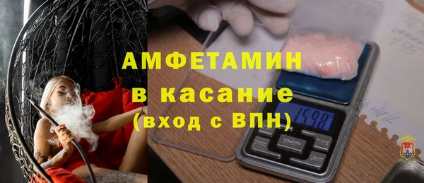 твердый Краснослободск
