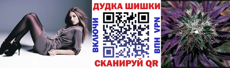 Конопля план  закладки  Красногорск 